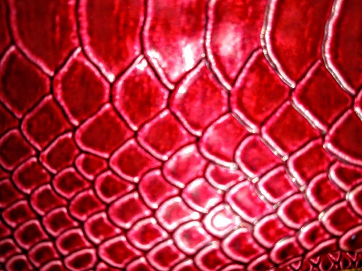 Red Small Rattlesnake Pattern Clutch with 25in Silver Chain