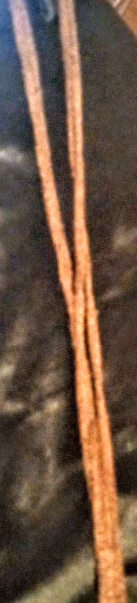 2 Brown Leather Strand with 4 Pendants