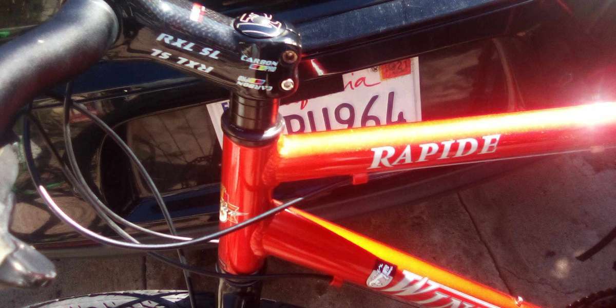 Windsor cabron fiber and aluminum bike  and speed got 8 gear