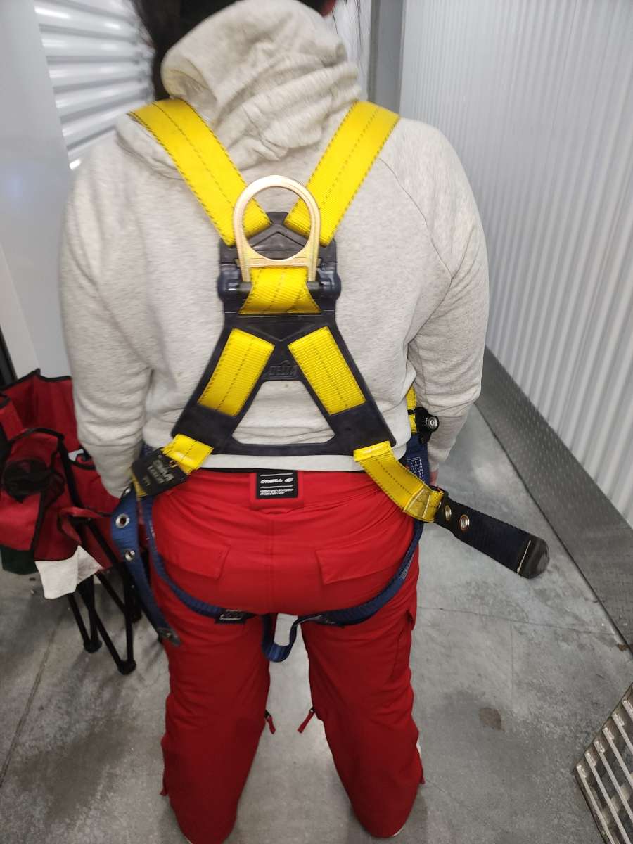 Full body harness