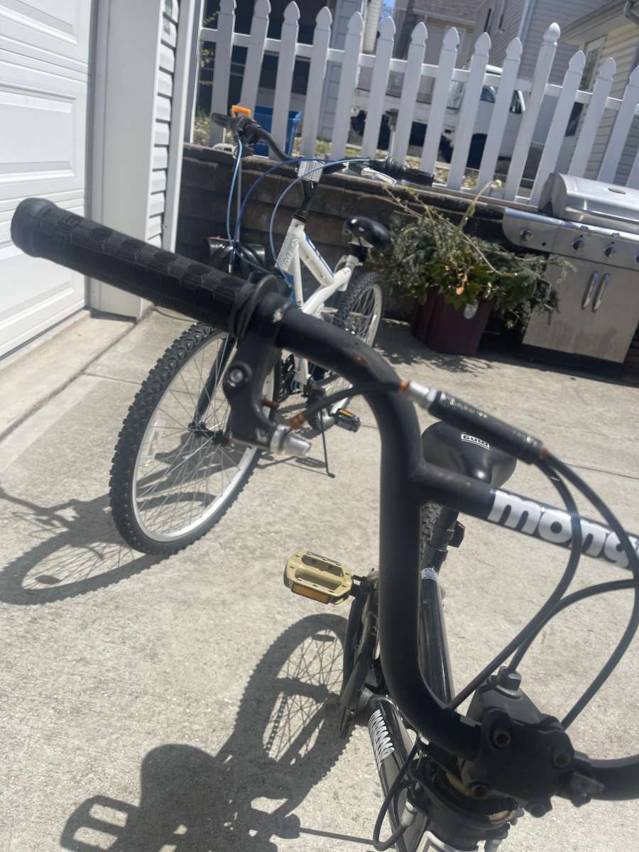 major fixer upper bikes