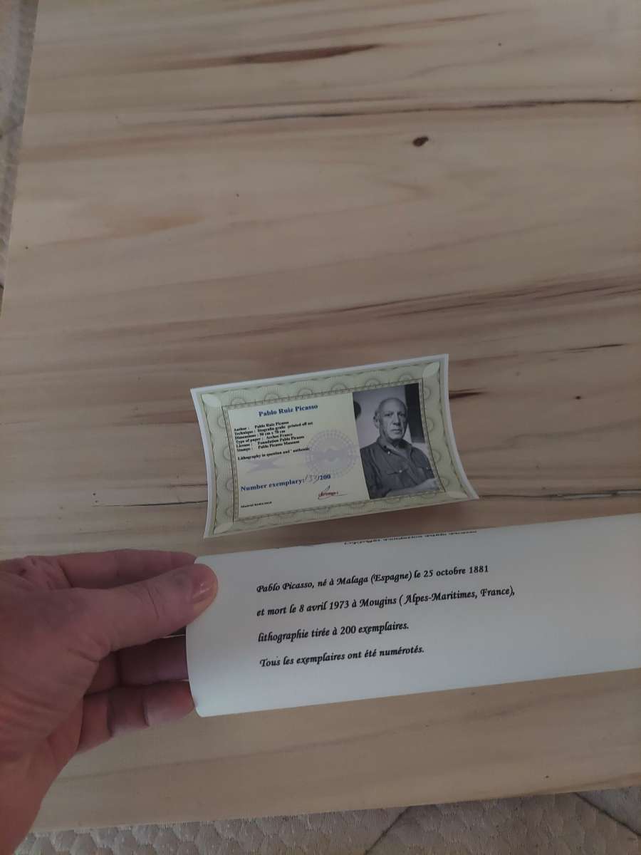 This is a little Picasso painting artThank you