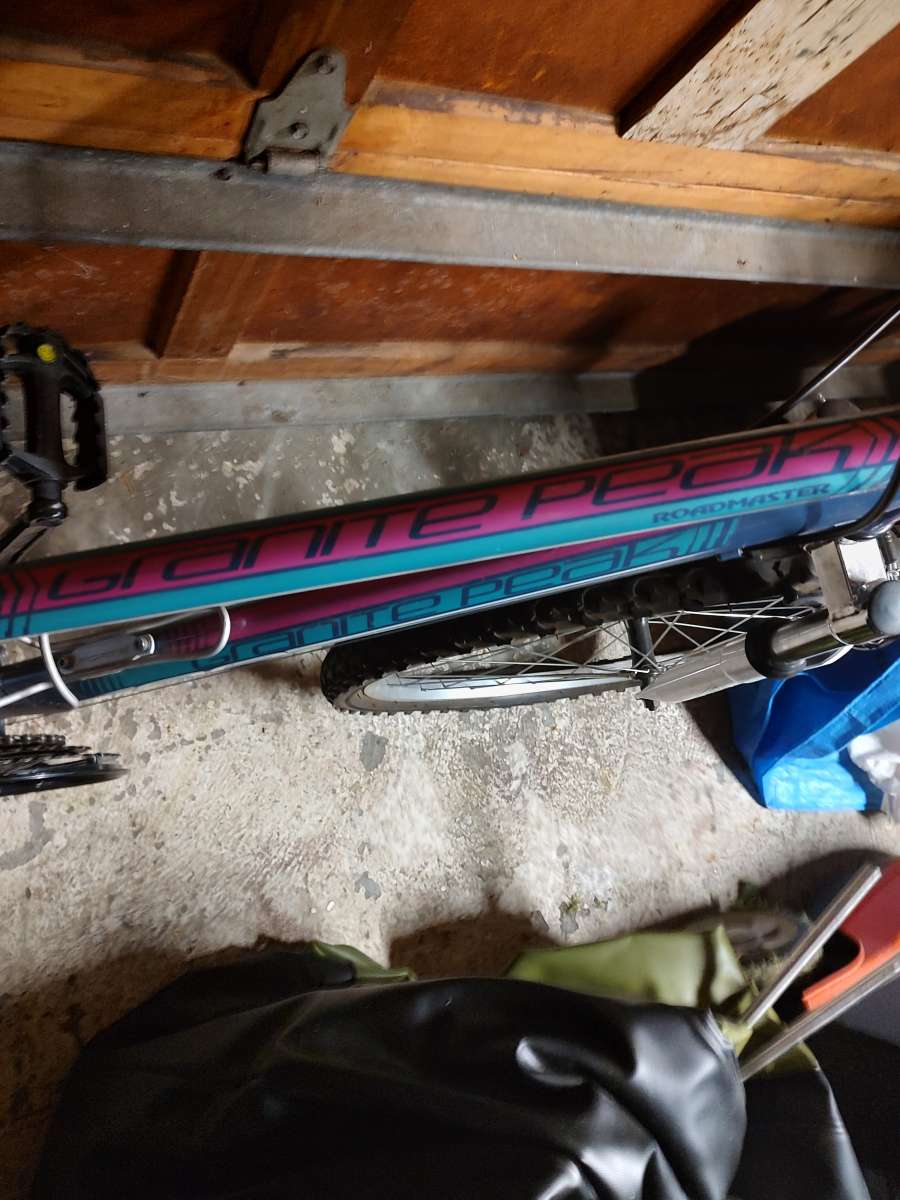 Womens21 speed mountain bike