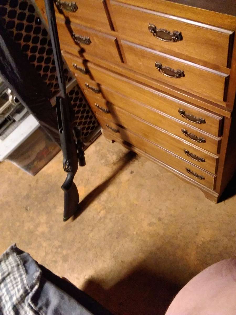 Gamo swarm whisper bb gun