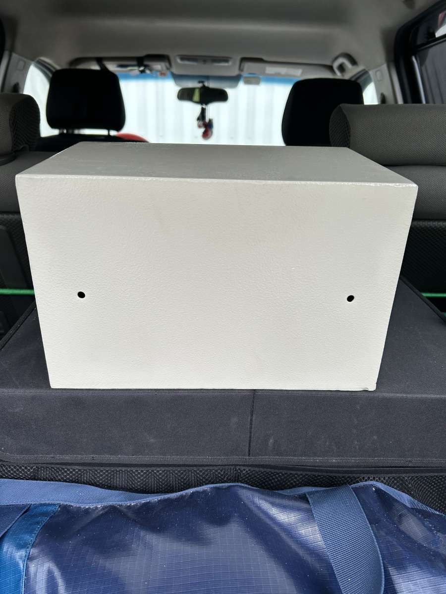 Secustar safe electronic system