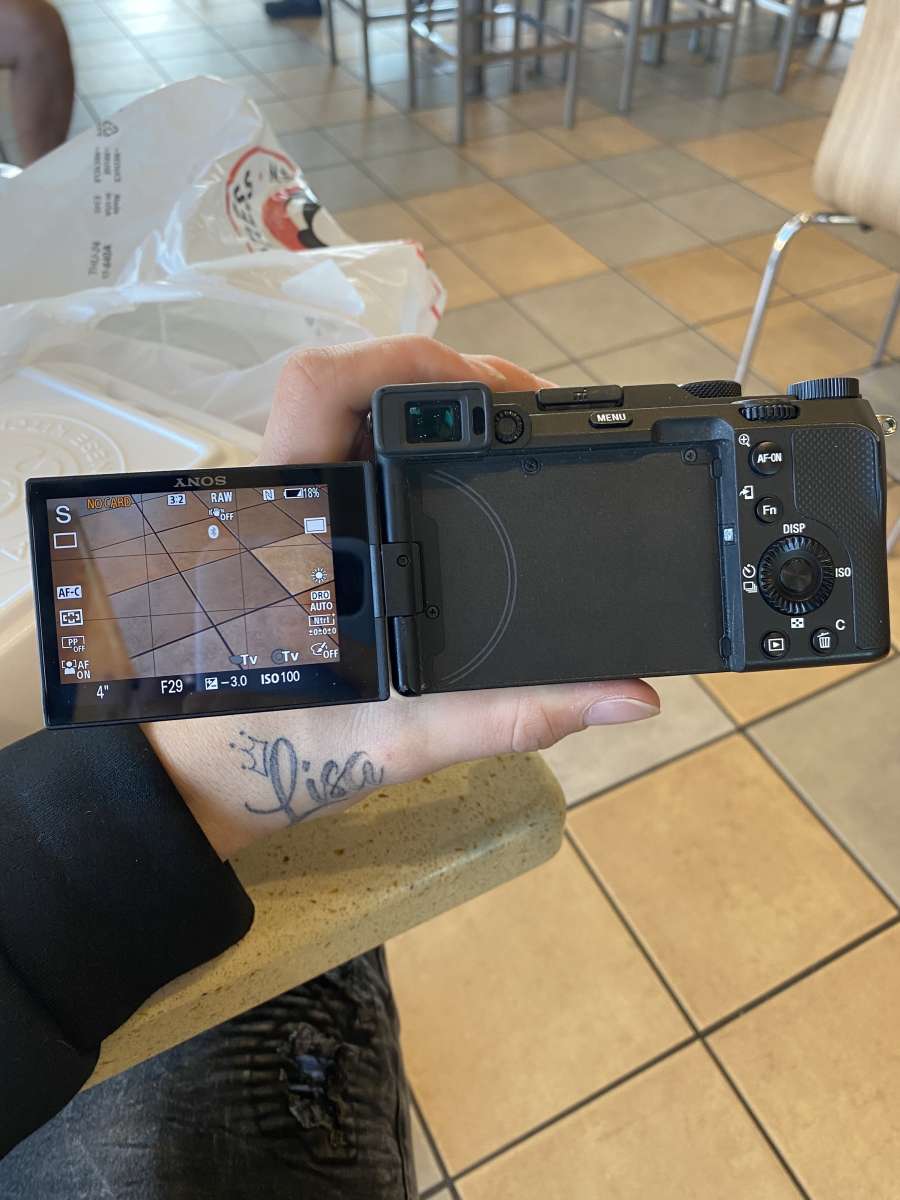 Sony model a7c