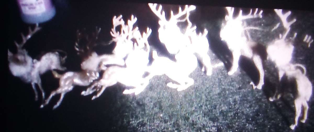 Vintage 8 Piece Reindeer Holiday Set