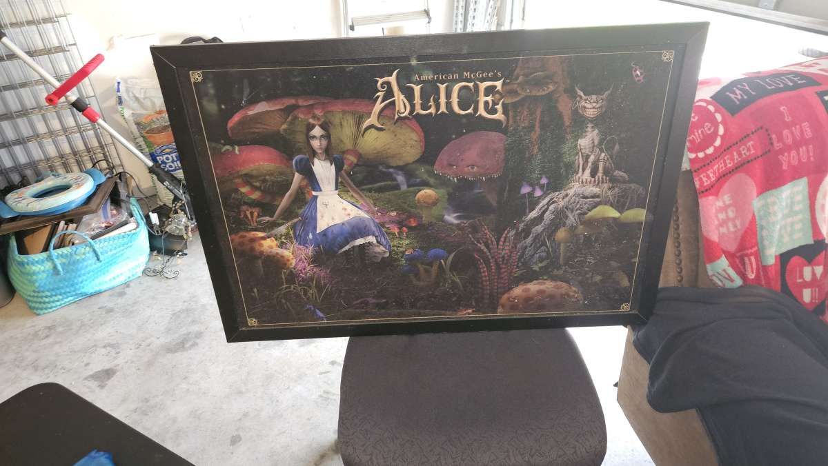 american mcgees alice mushroom garden  painting