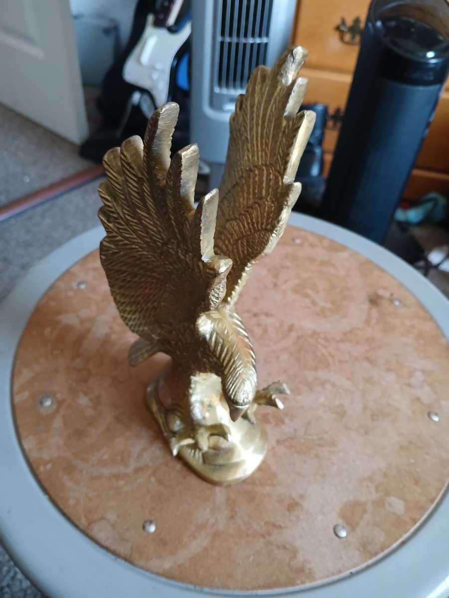 Goldberg falcon stachue