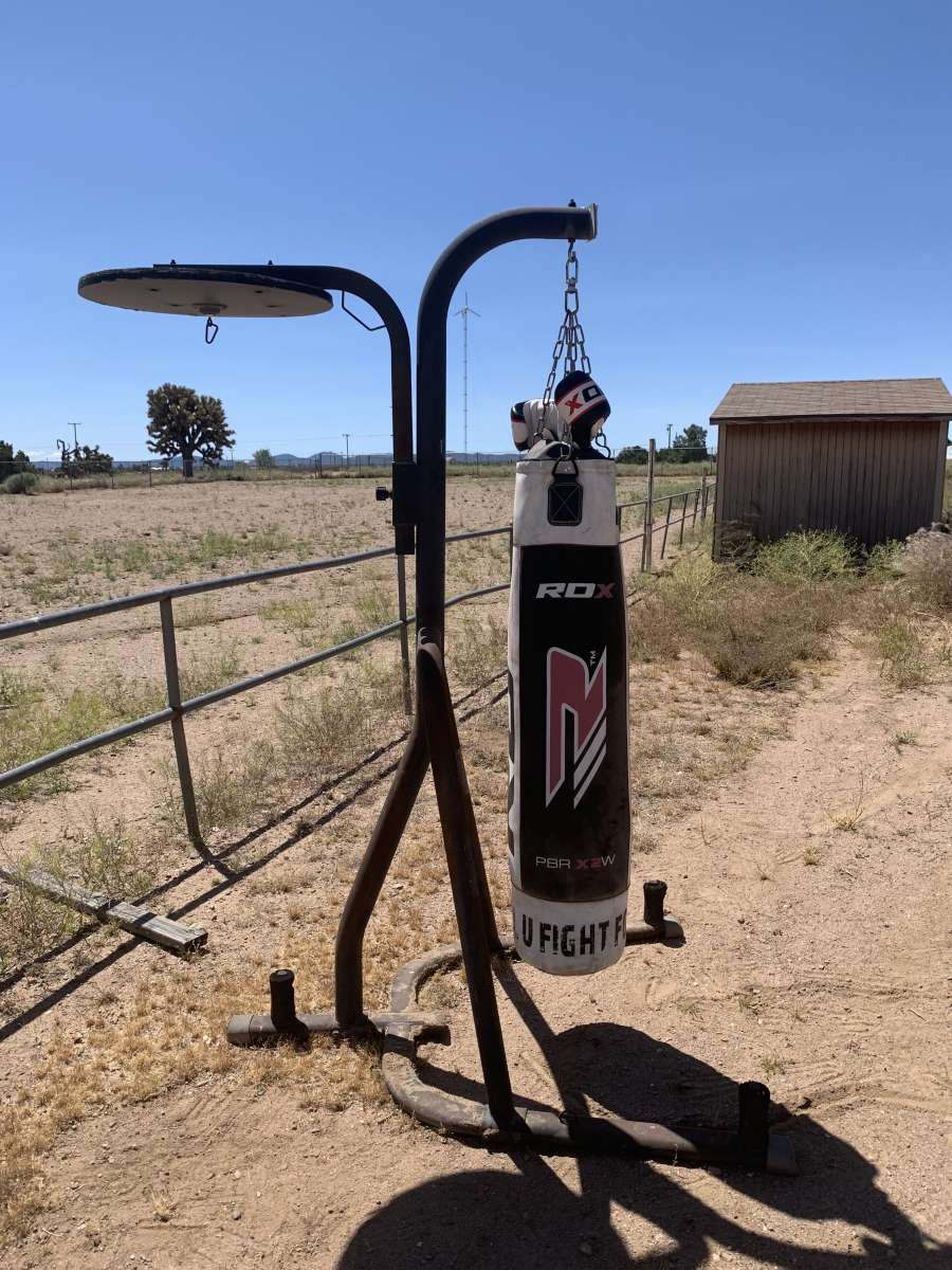 Everlast punching bag stand with punching bag set