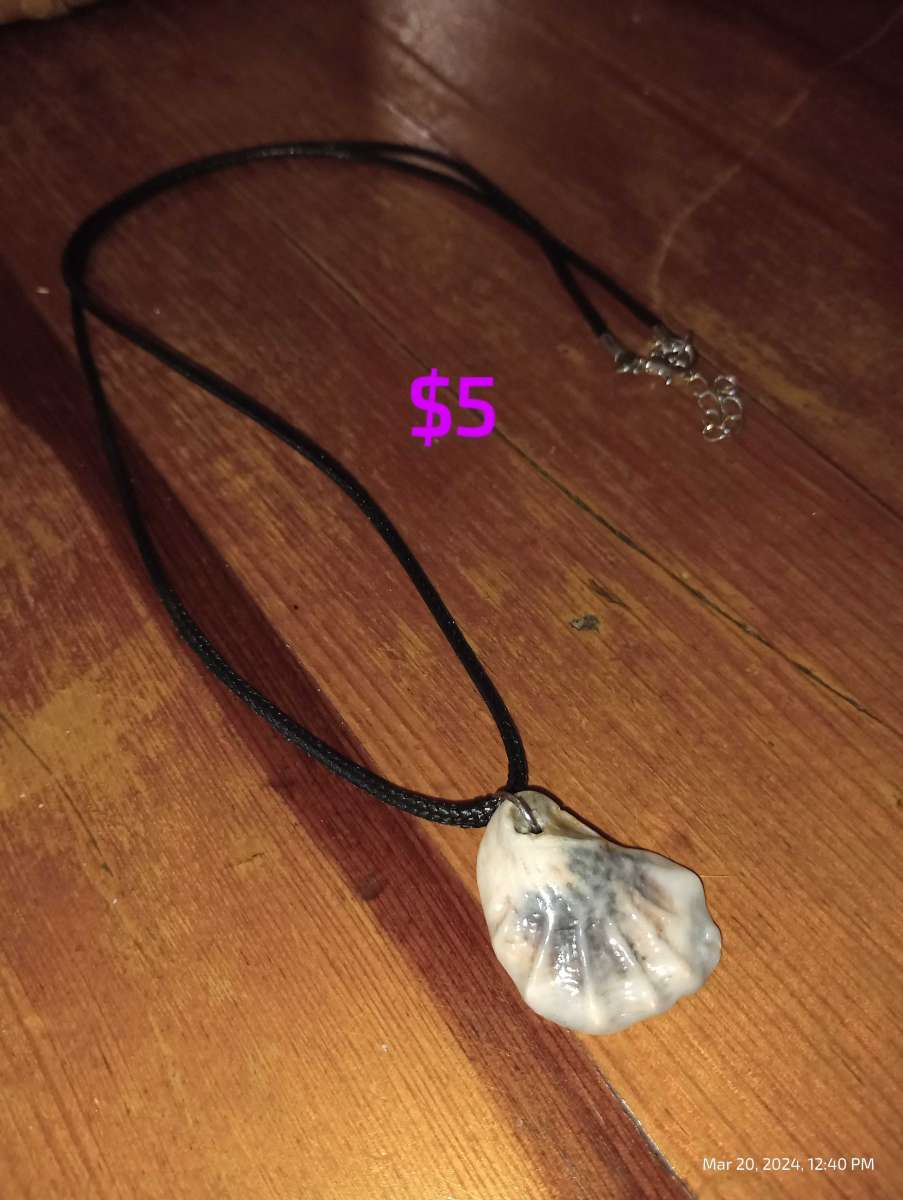 seashell jewlery and key chains