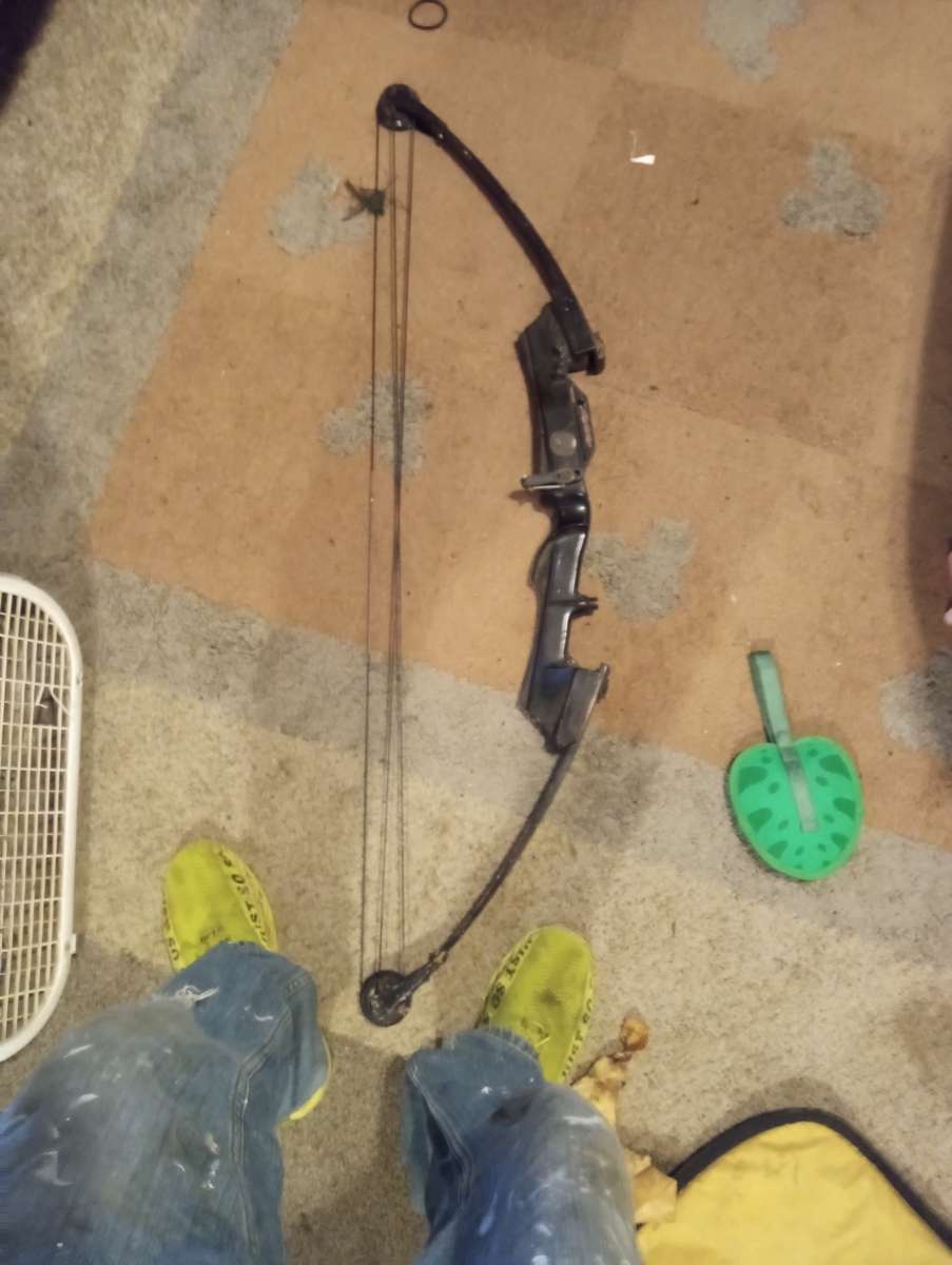 whitetail compound bow