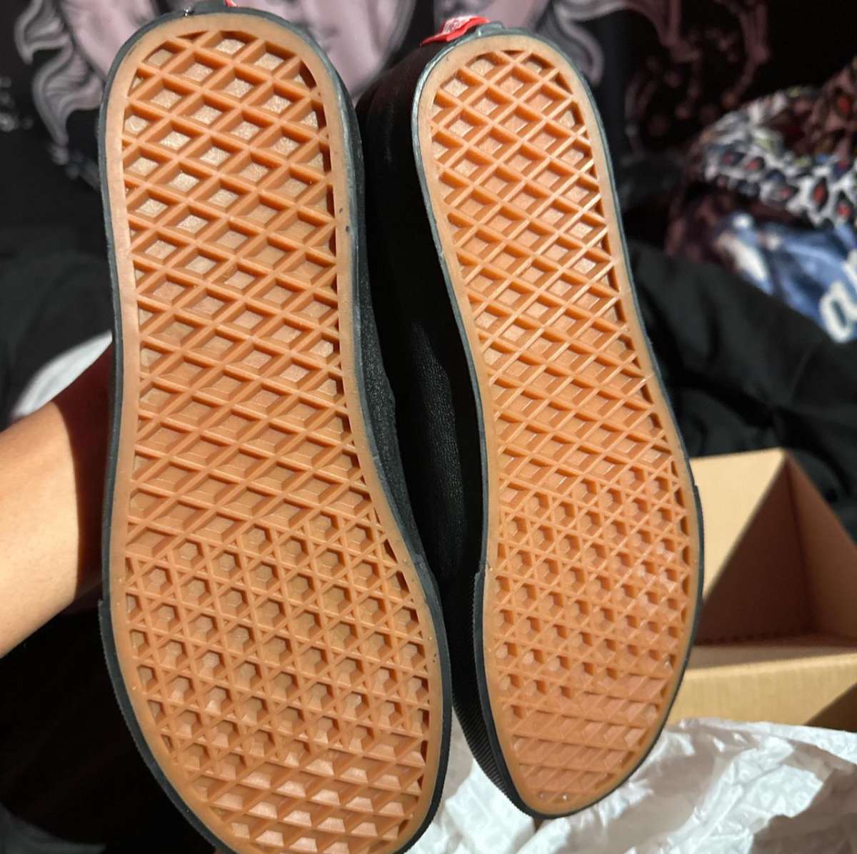 Vans Authentic Canvas Skate Shoes