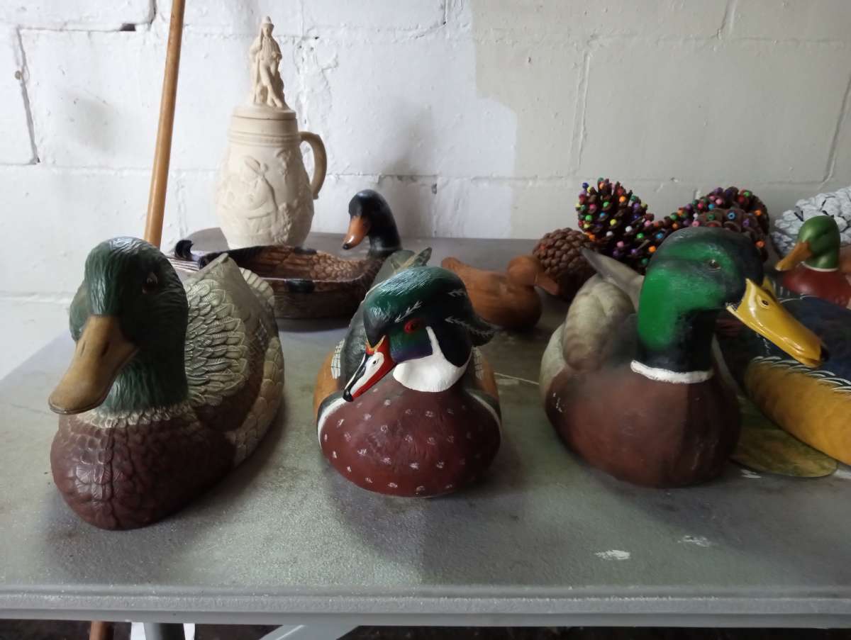 hand painted duck collection