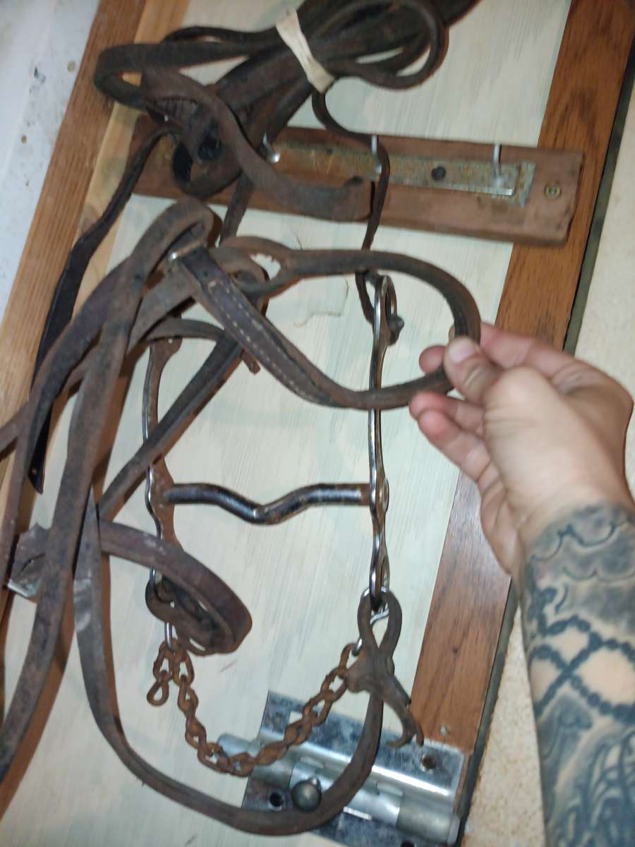 bridle with bit n reins