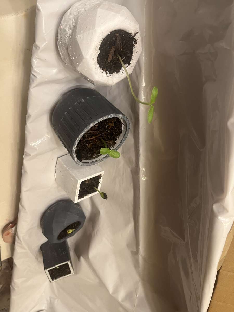 12 10 8 pots with a plant