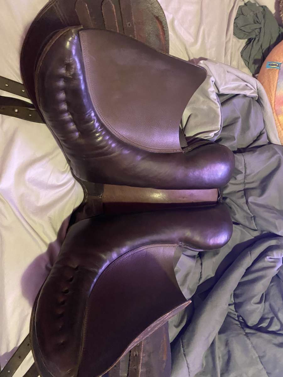 english saddle