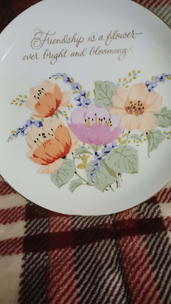 Sangamon friendship saucer