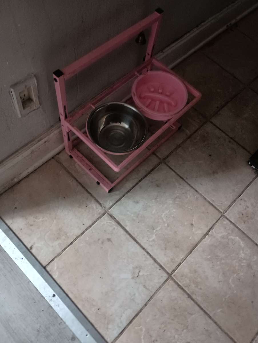 the dog bowl holder