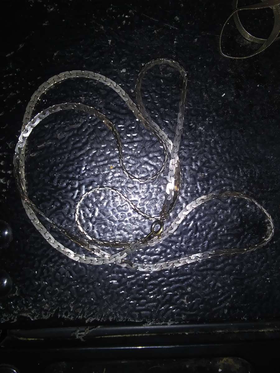 silver colored necklace