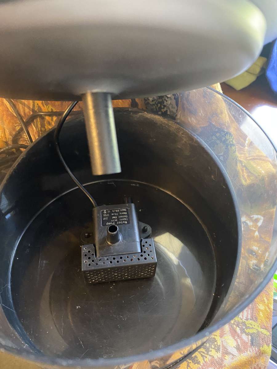 Kastty electric cat water bowl