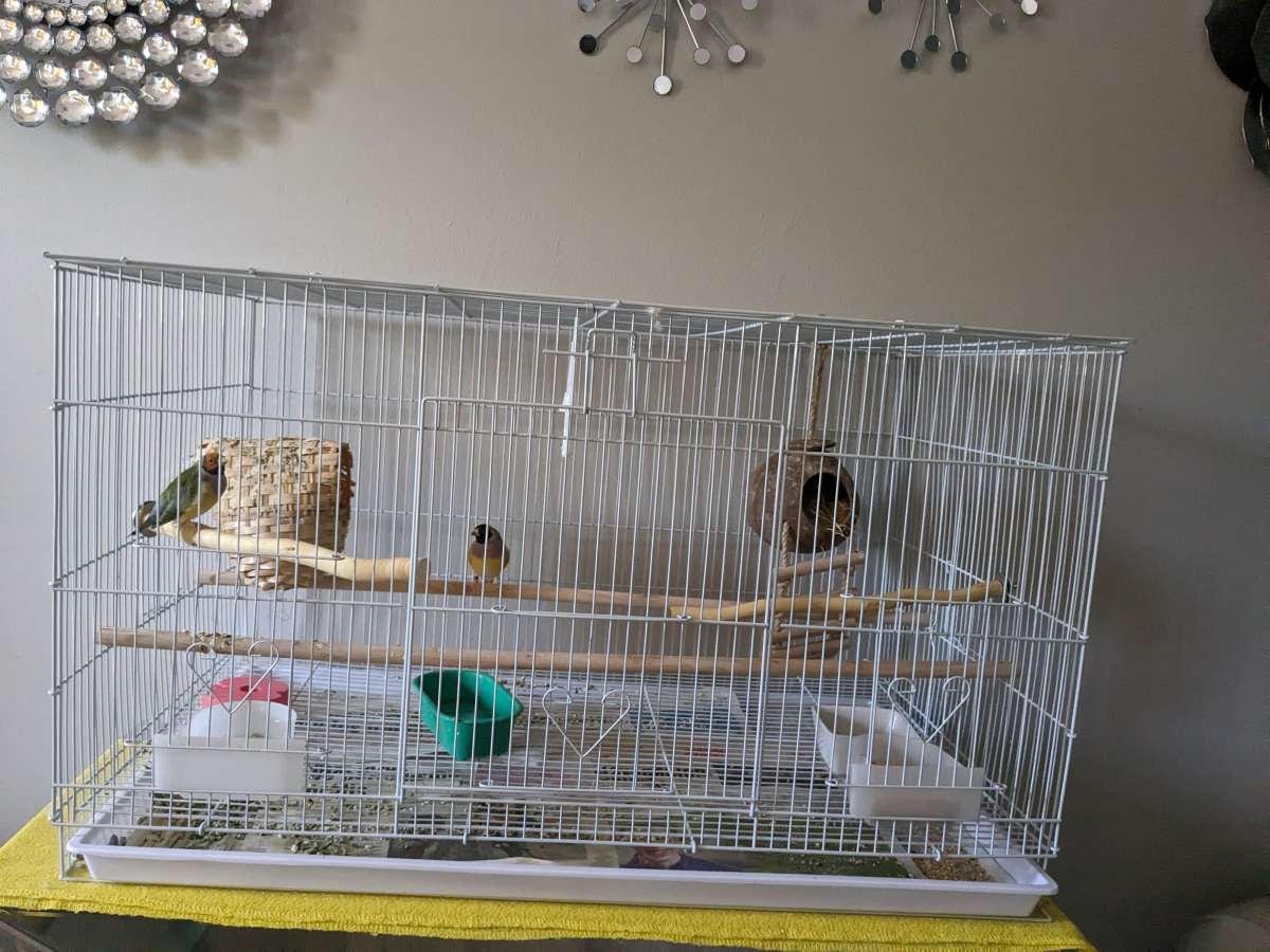 Flight birdcage in the box NEW