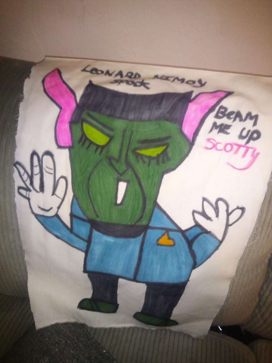 star track and baloo and more pillows