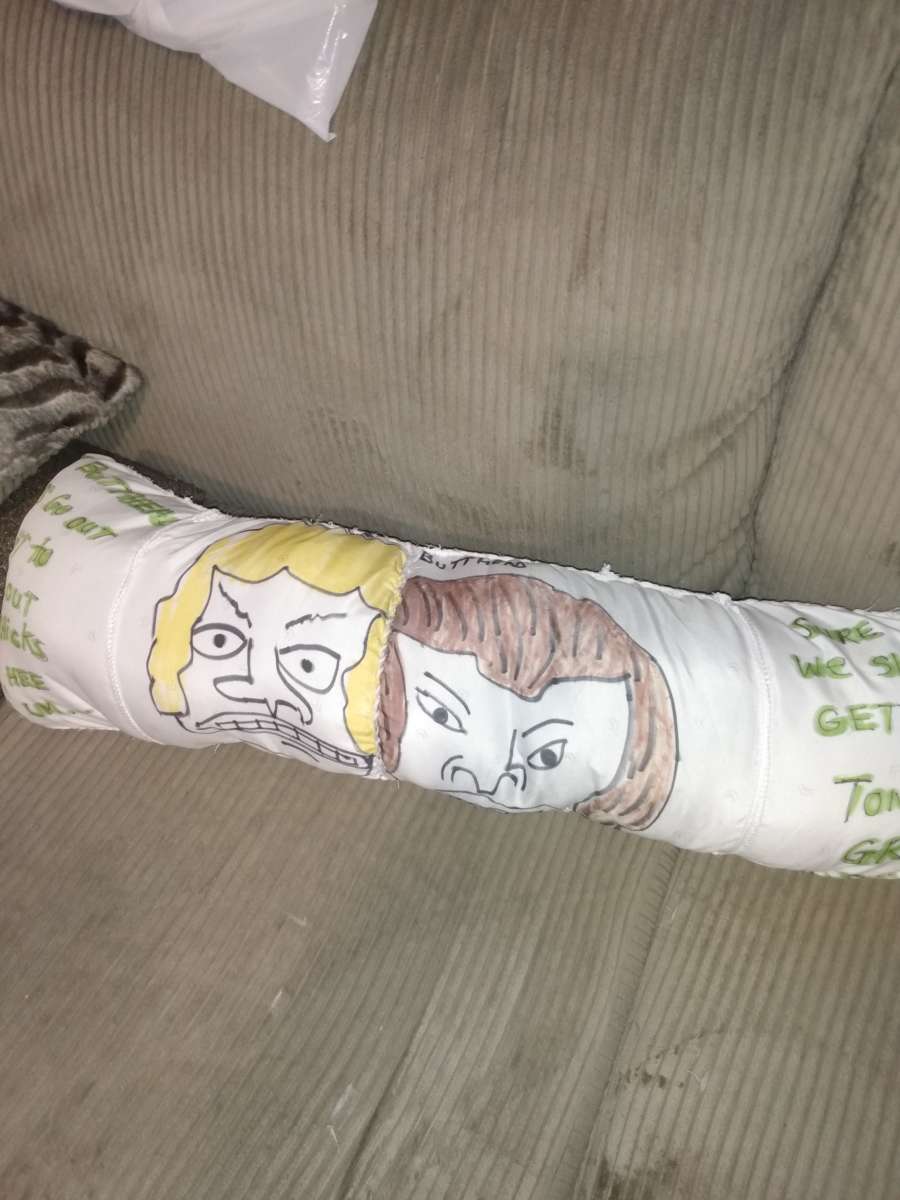 creative cartoons pillows