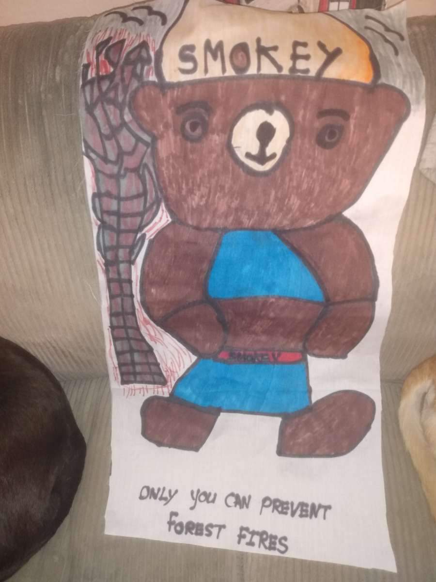 homemade cartoon pillows and wall hangings