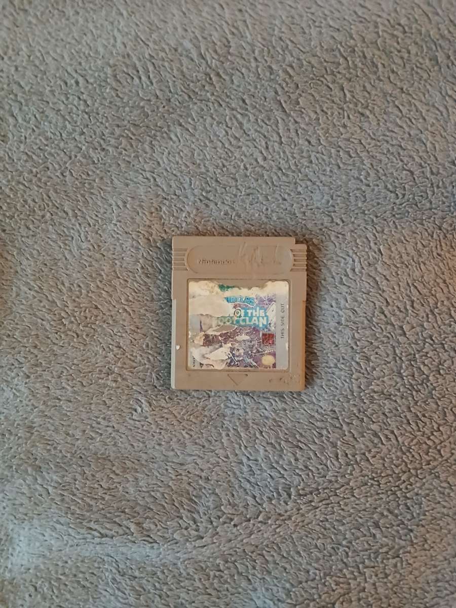 TMNT Fall Of The Foot Clan Gameboy