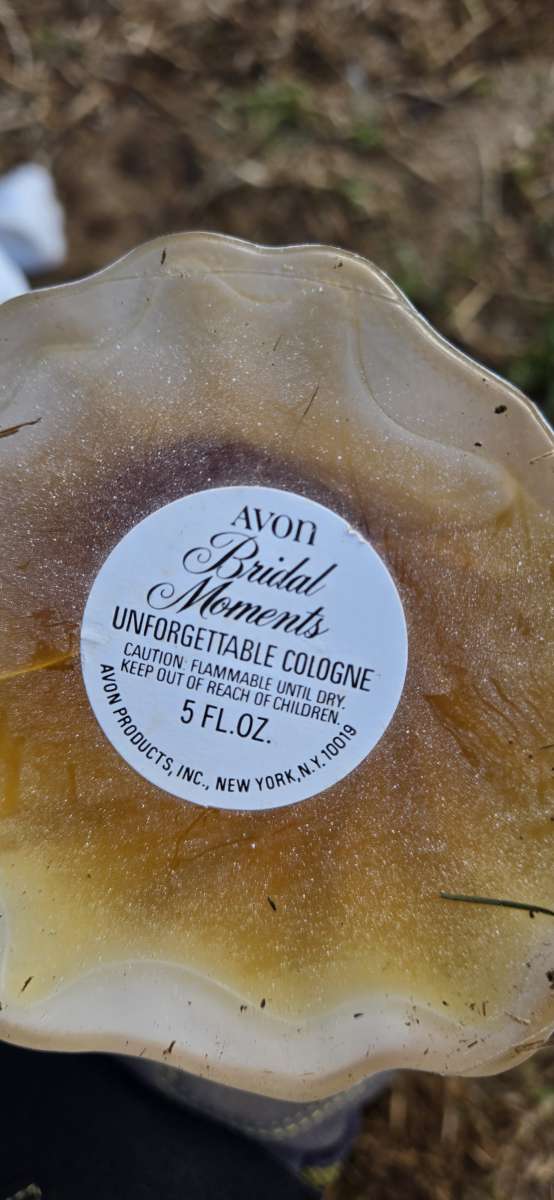 collectable Avon bath oil and cologne