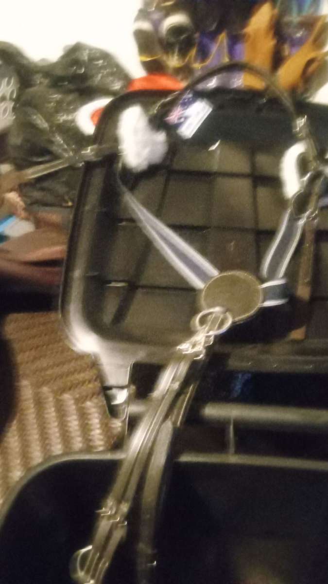 horse saddle and bridal