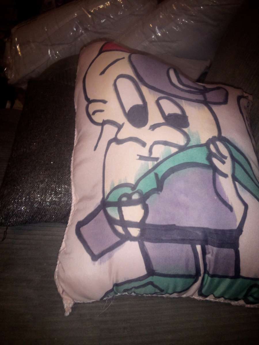 star track and baloo and more pillows