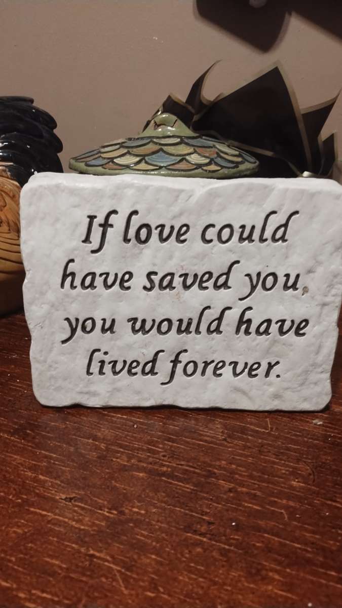 assorted flat heavy stones