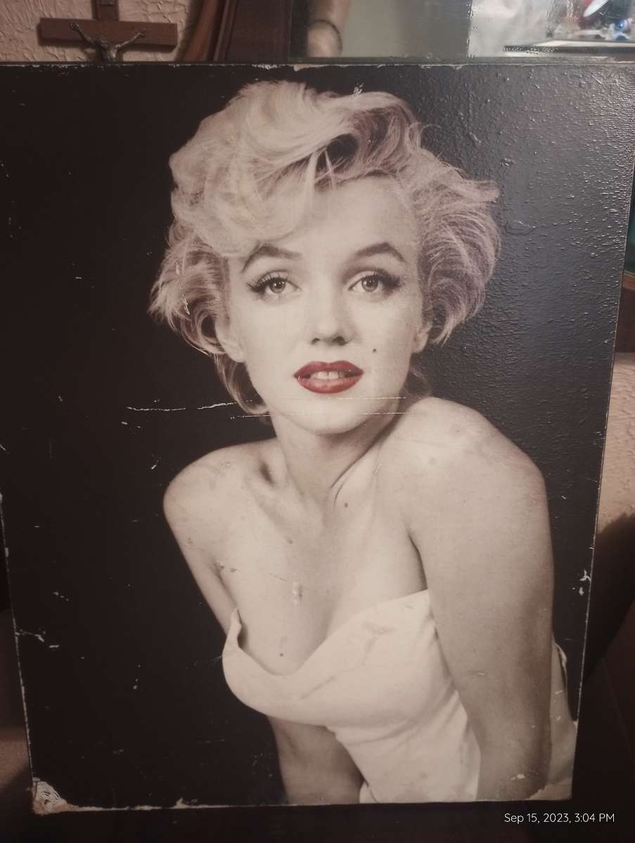 Marilyn Monroe portraits
