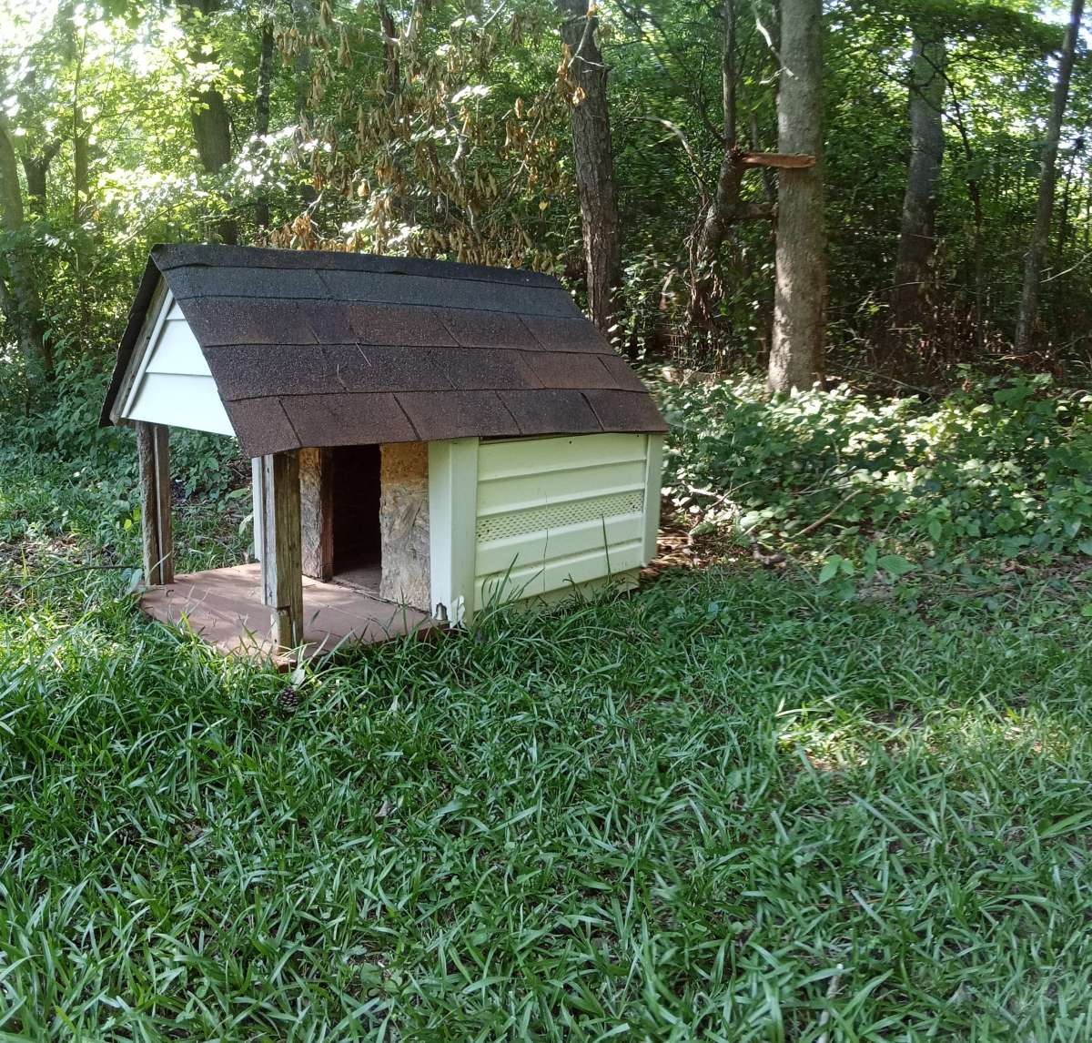 Dog Housem medium size