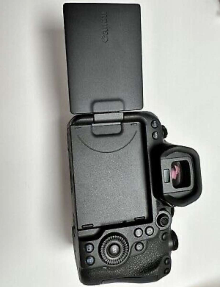 Canon EOS r6 mark ii