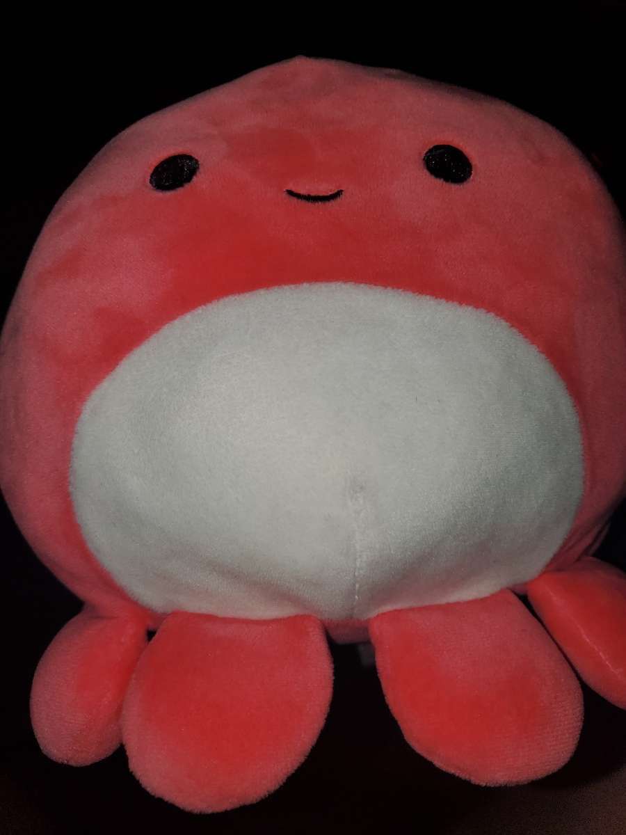 5in Squishmallow