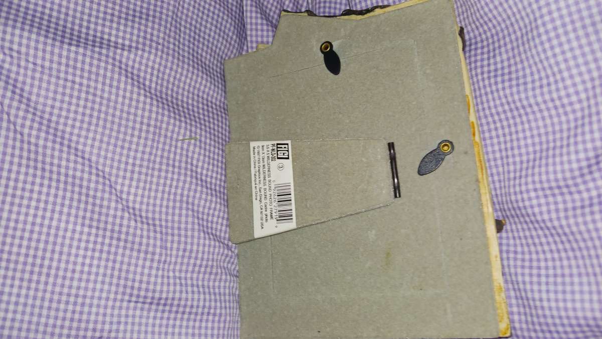 duck picture frame 3 12 x 5 in