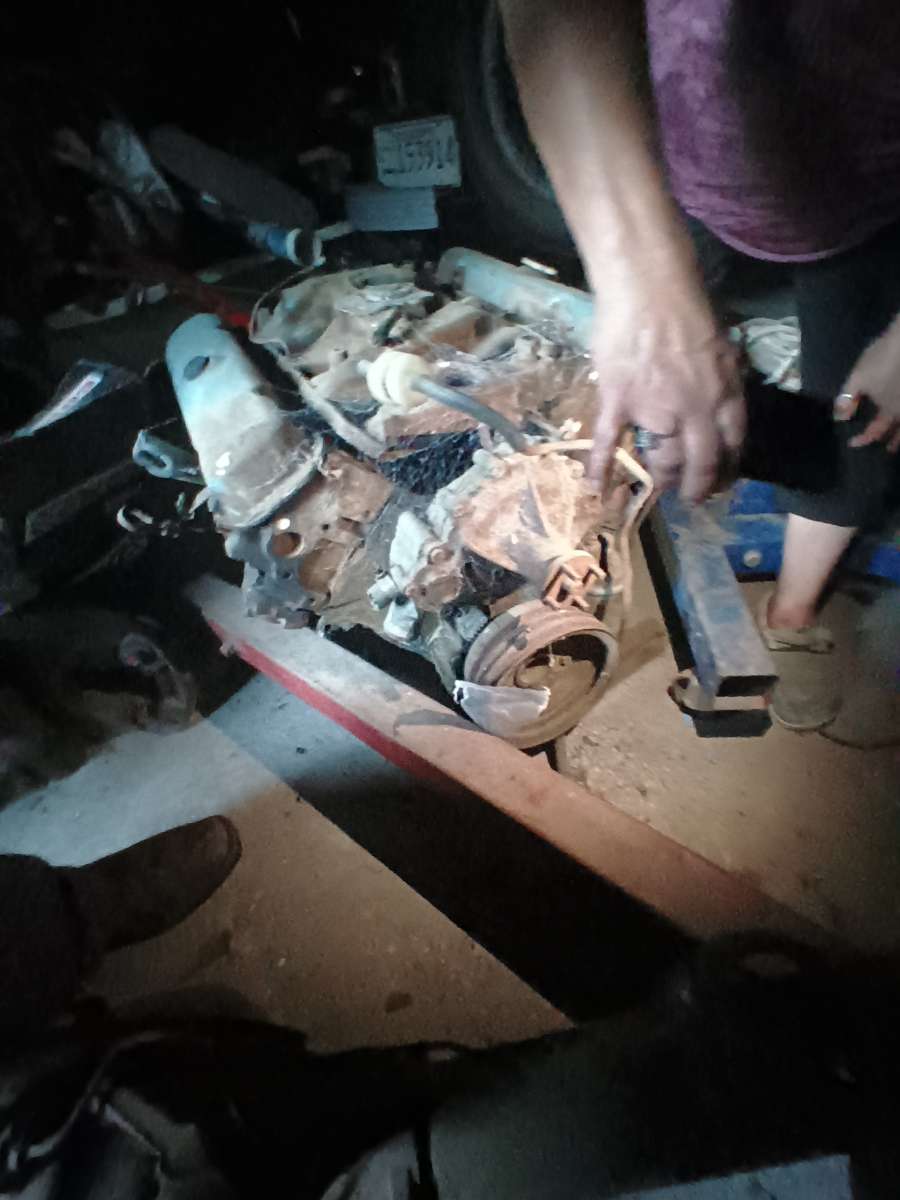 Motor