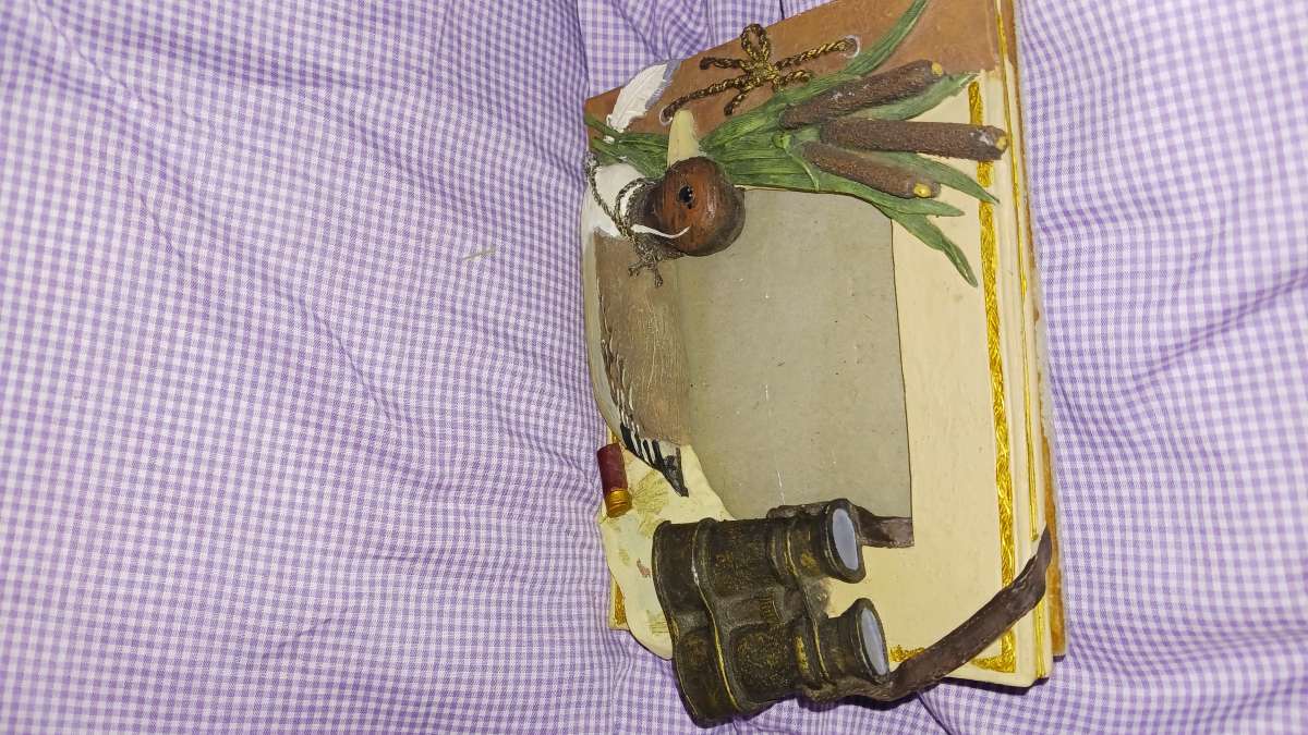 duck picture frame 3 12 x 5 in