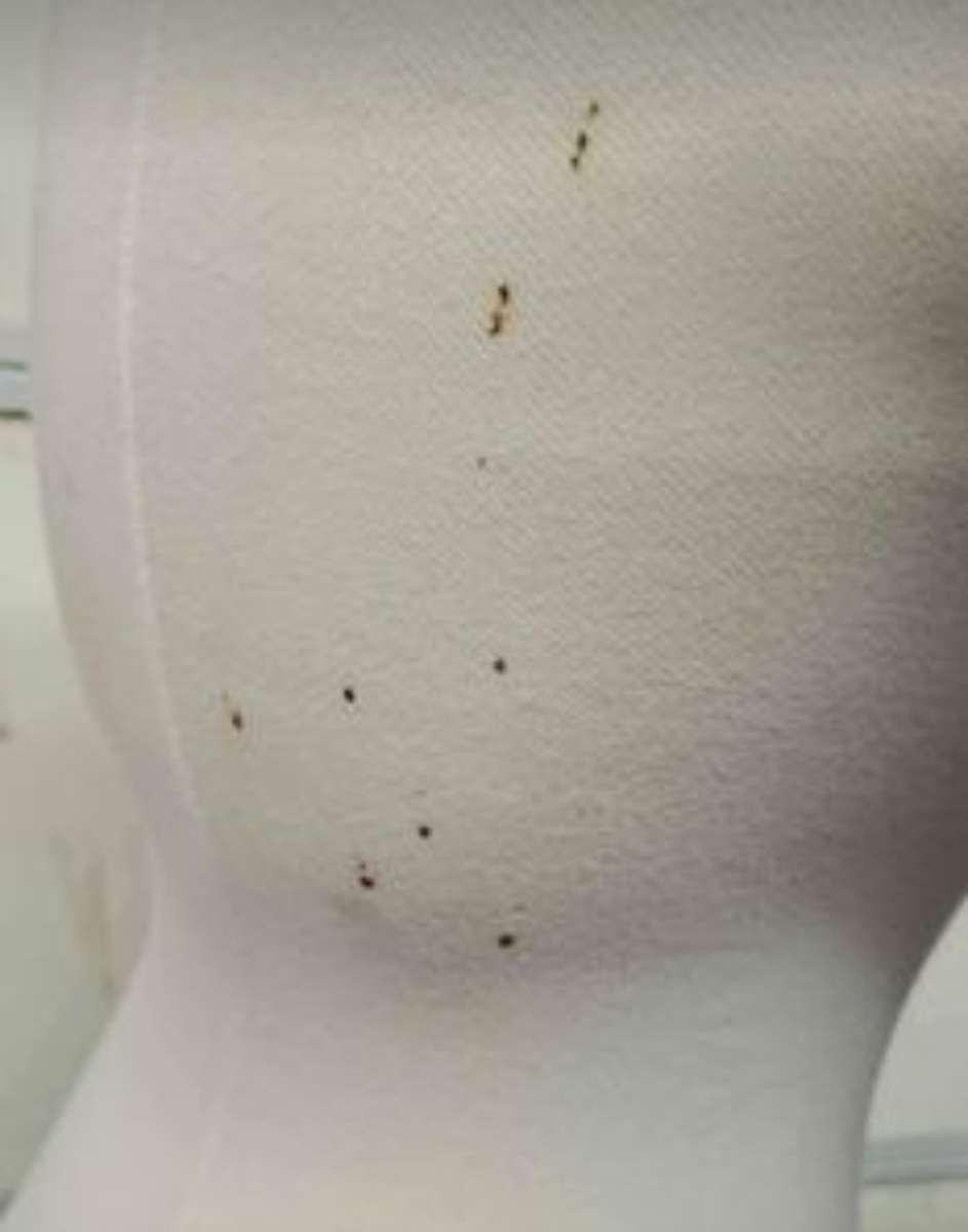 Mannequin On Base  Female  Adjustable Height  RRR Apparel