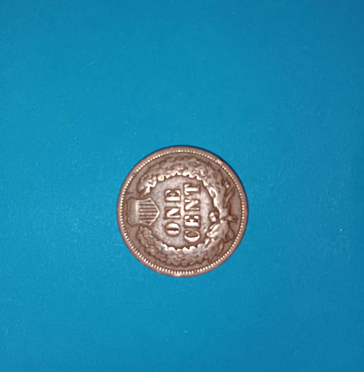 1890 indian head penny