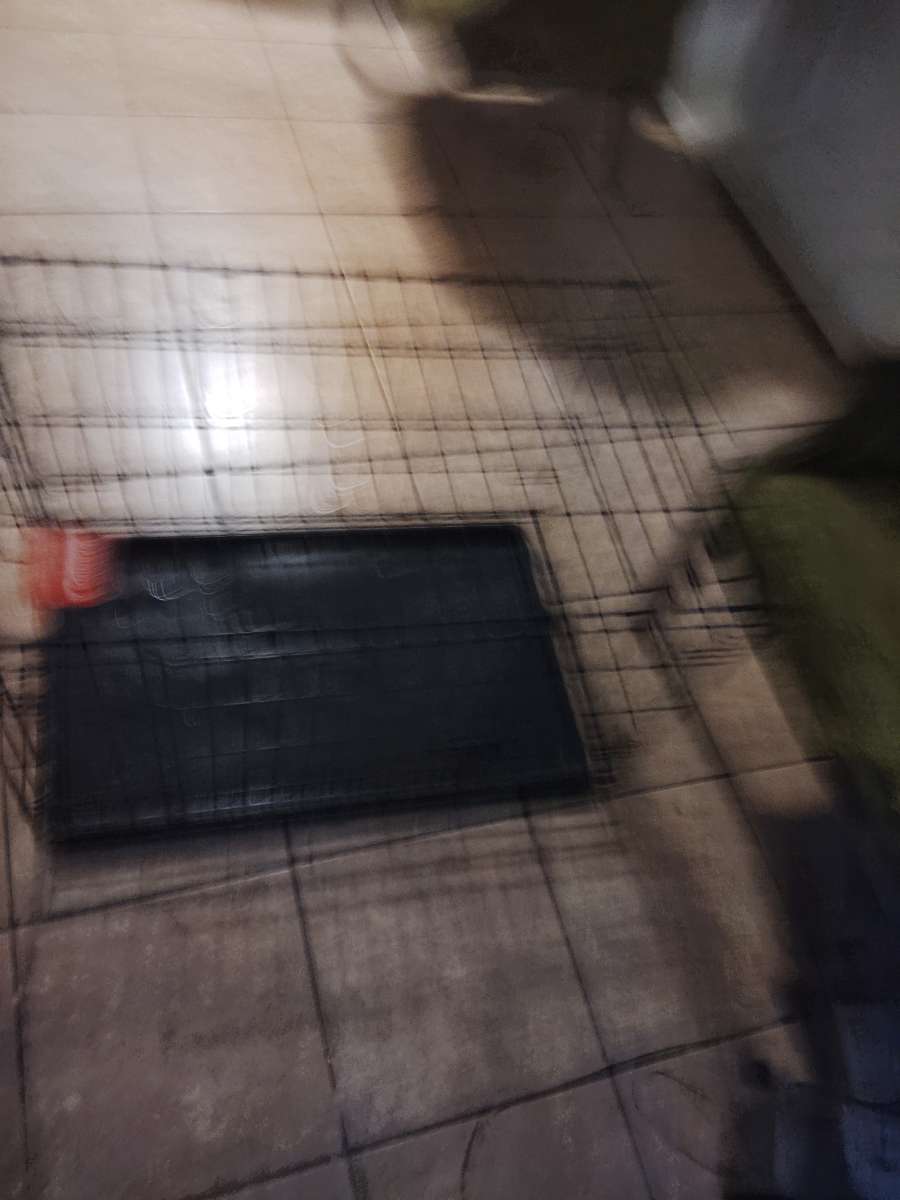 a black puppy cage for baby dogs