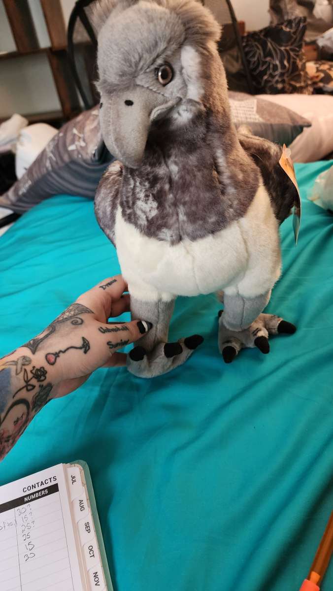 Official Wizarding world merch Buckbeak NWT