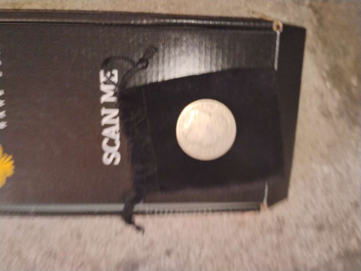 1880 Morgan Silver Dollar