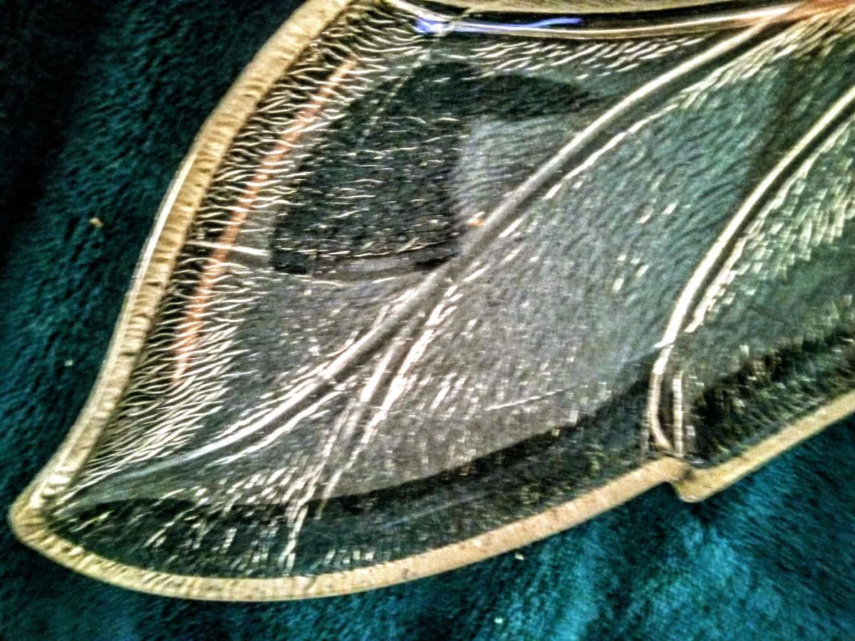 vintage pressed glass 1g2 in tobacco leaf art sculpture bowl