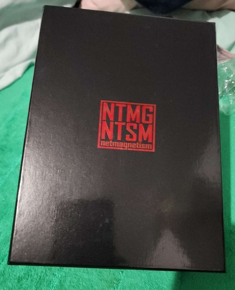 SB Paris Dunk KickBrick Sneakers Net Magnetism