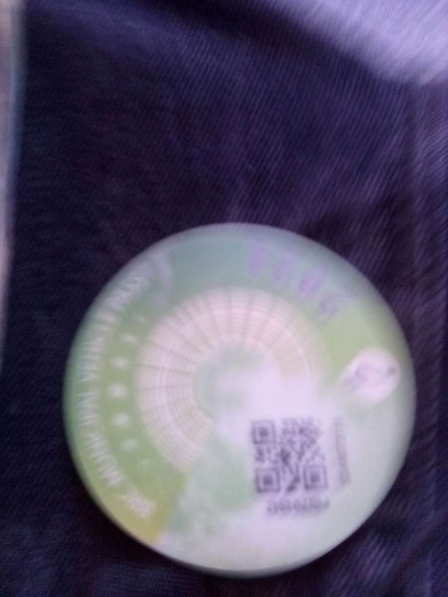 2 tickets to burning man and one parking g pass