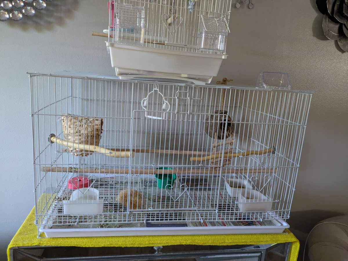 3 bird cages and a bag of 10lb food